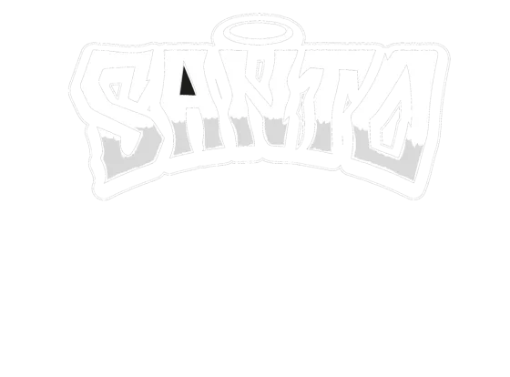 SANTO — Vista del proyecto publicado